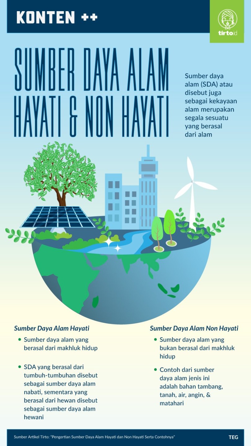 poster tentang sumber daya alam tumbuhan dan manfaat