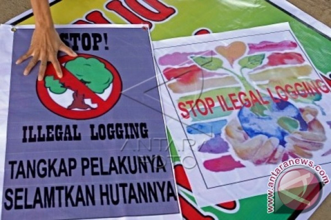 poster tentang stop pembalakan liar