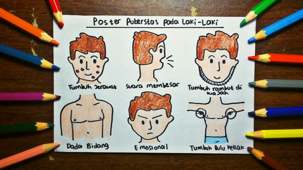 poster tentang pubertas anak laki laki