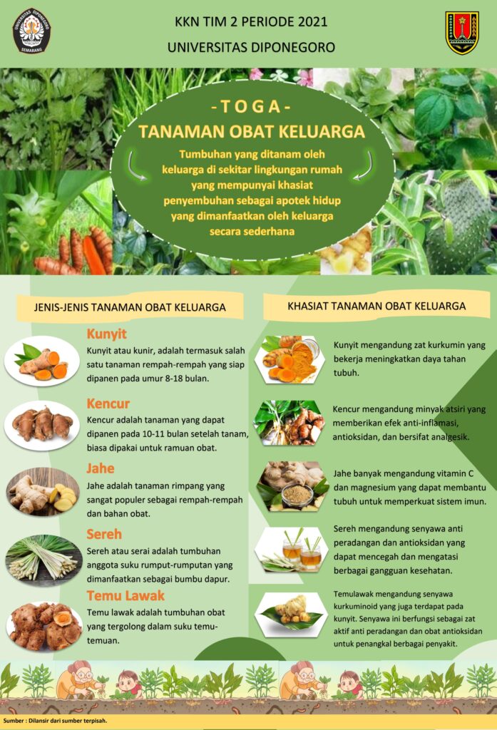 Poster Tentang Tumbuhan Obat